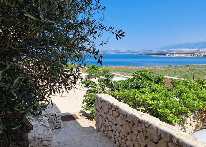 Edilnova Апартаменты Повляна